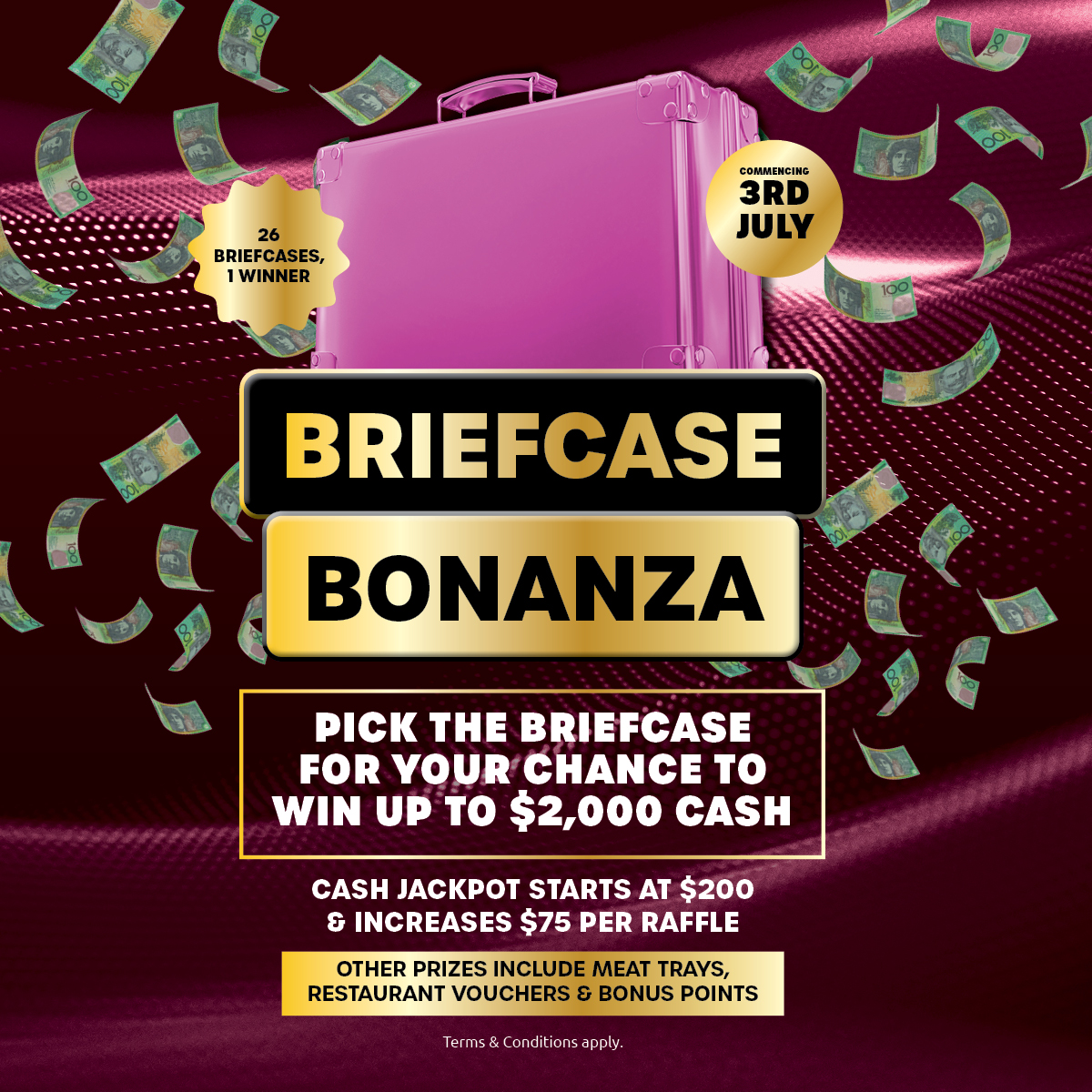 Briefcase Bonanza