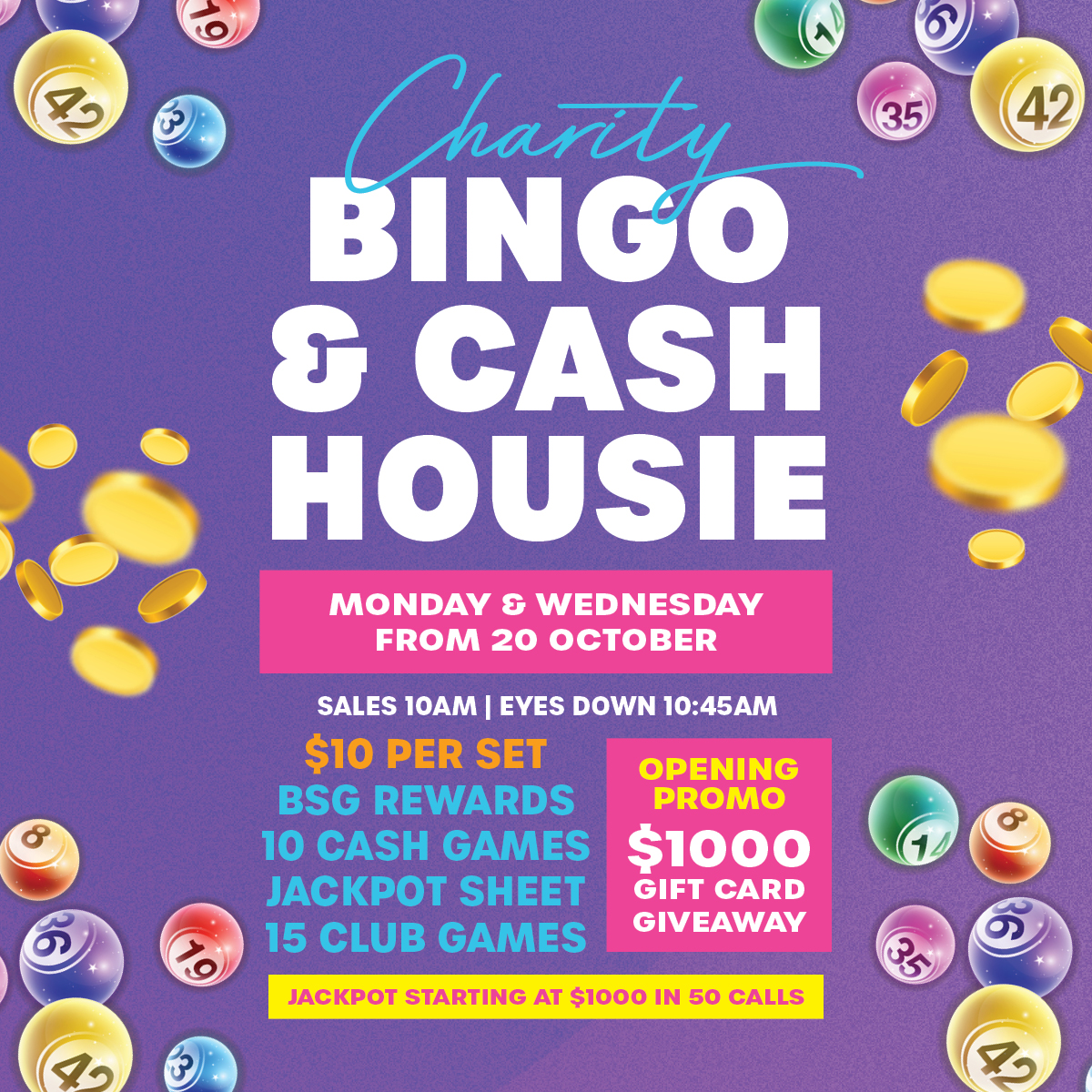 Charity Bingo & Cash Housie